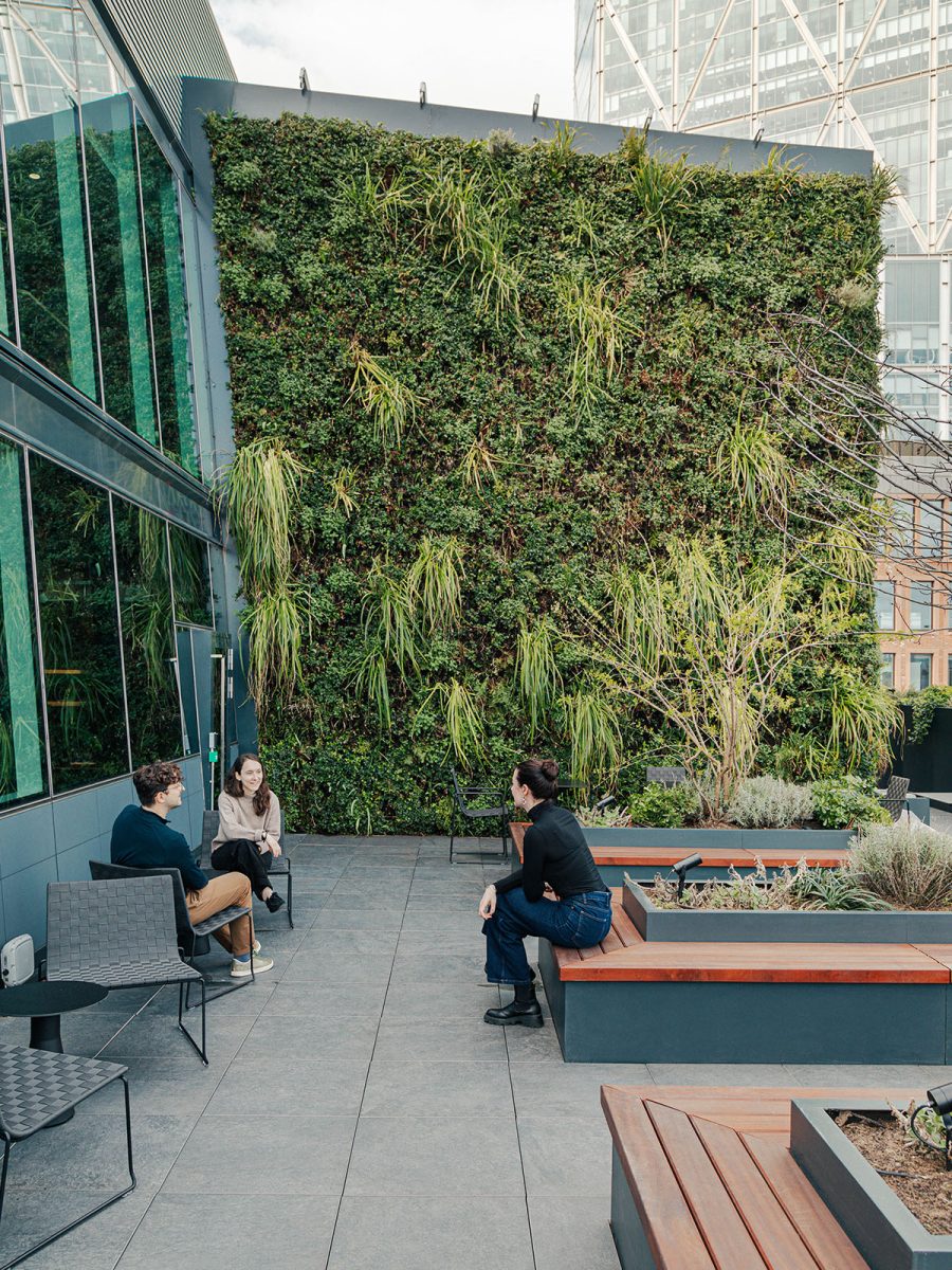 terrace-space-with-large-living-wall-at-wilson-sonsini-london-office