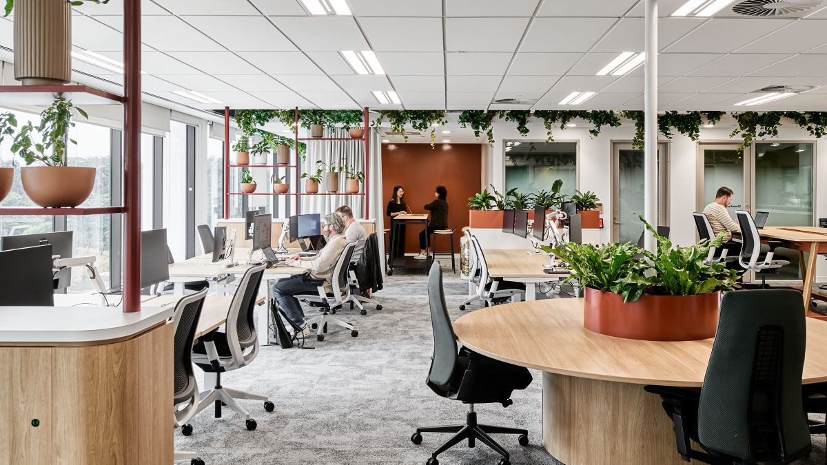 Office design with biophilic elements Australia