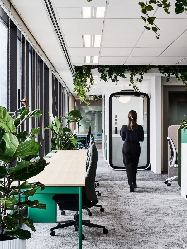 Nature based solutions for interior office design