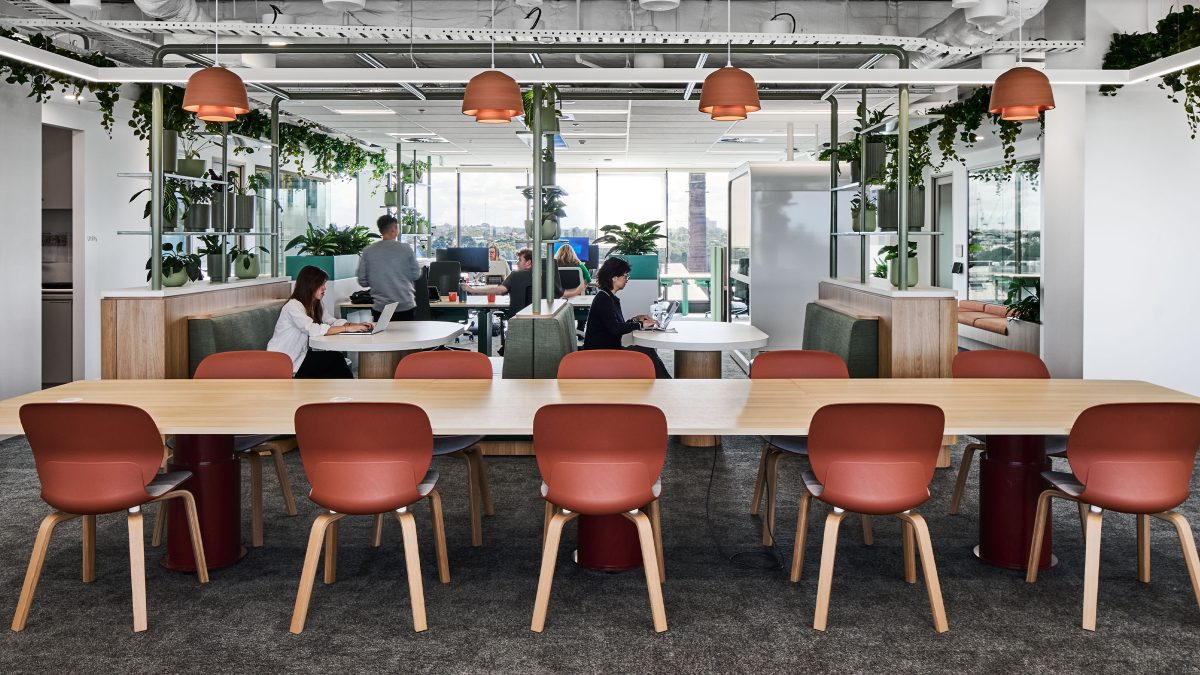 GSK Melbourne workplace design