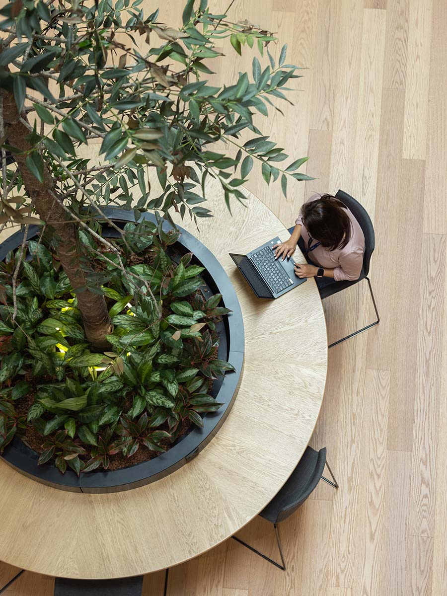 vancouver-office-design-indoor-garden