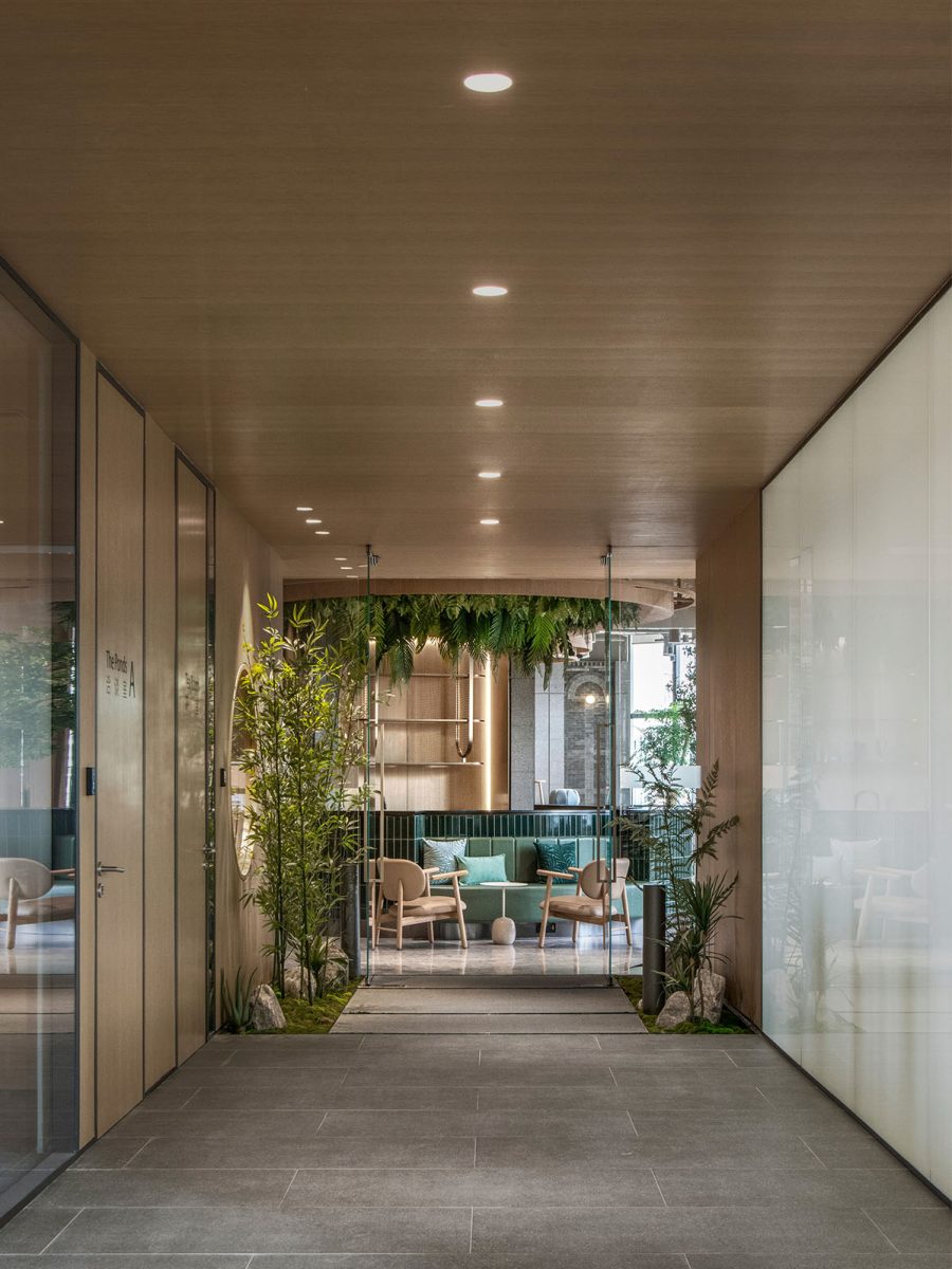 corridoor-with-vines-workplace-design